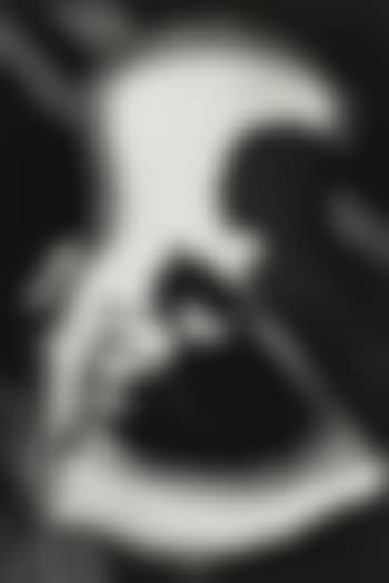 Our Cat Ulysses And Martine's Shadow (preview)