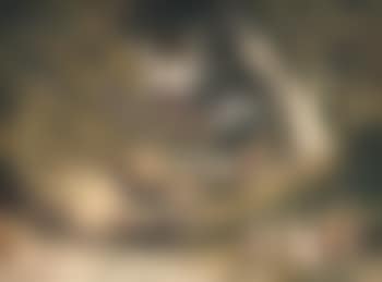 Stags and hinds in a park by a river (preview)