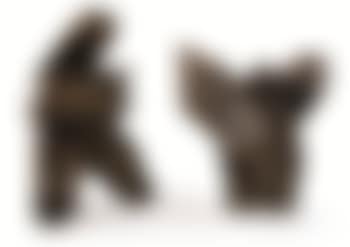 Taichi Series [Two Works] (preview)