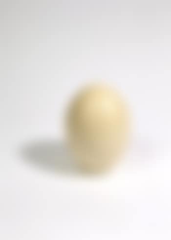 Œuf (preview)