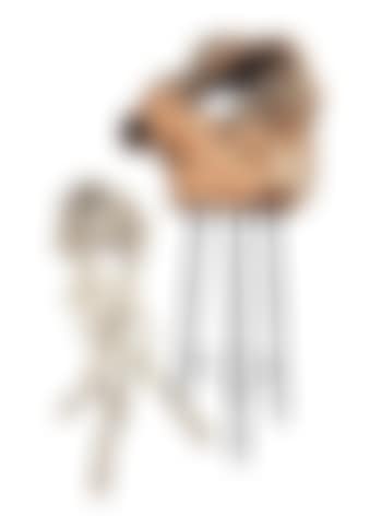 The bush Venus de Milo (preview)