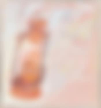 The hurricane lamp (preview)