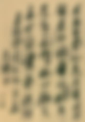 Letter (preview)