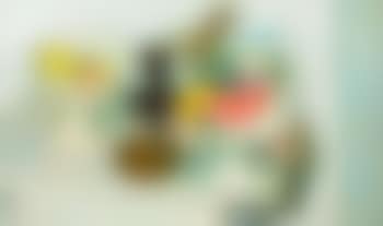 Still Life with Blue Bird and Watermelon (preview)