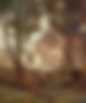 Millburn Farm (preview)