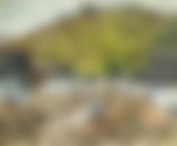A Slovak Village (preview)