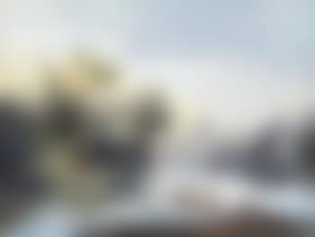 Promeneurs dans une barque et couple sur le bord du rivage dans un paysage arboré (preview)