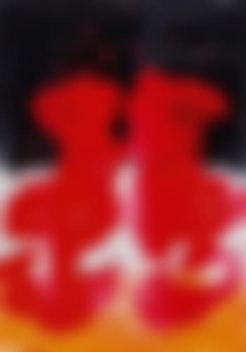 Sokol V. (preview)
