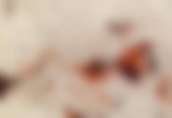 Alter Baum (preview)