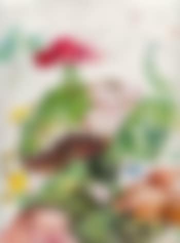 Frühlingszeit (preview)