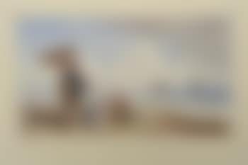 Boys on a beach at low tide, fishing fleet beyond (preview)