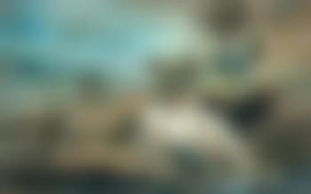 Cattle and a pair of donkeys in an extensive landscape (preview)
