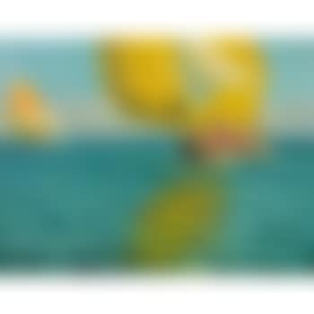 Bragozzi in alto mare (preview)