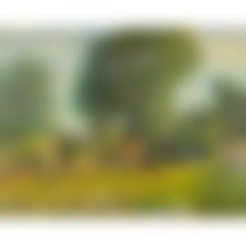 Pascolo in Carso (preview)