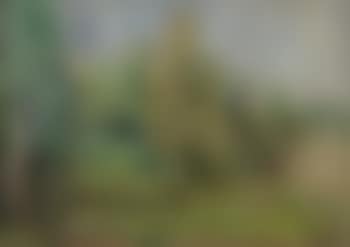 Landscape- Kamena Vourla III (preview)