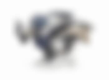Untitled (Chicken) (preview)