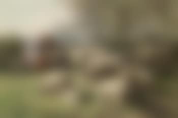 Rastendes Paar bei Schafherde by Jan David Col (preview)