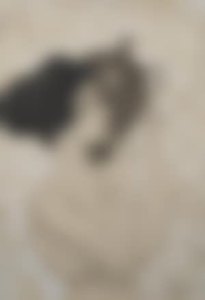 Portrait of a girl holding a urn. Girl by the sea. Two girls with flowers in their hair. Girl blowing up a balloon. Girl with flowing hair by the sea (preview)
