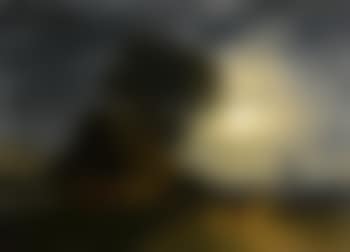 Bauernhaus und Windmühle im Mondlicht (preview)