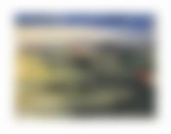 Paysage (preview)