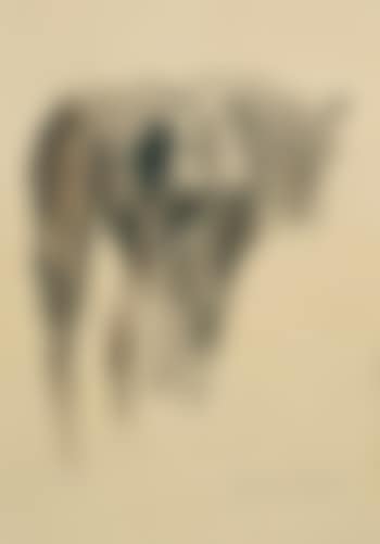 Gesatteltes Pferd in Dreiviertelansicht von hinten gesehen. (preview)
