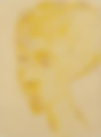 Frauenkopf nach links. (preview)