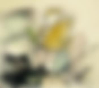 Gelbe Schönheit (preview)