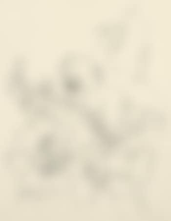 Verlobung (preview)