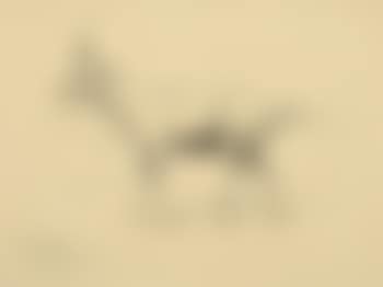 Saigaantilope. (preview)