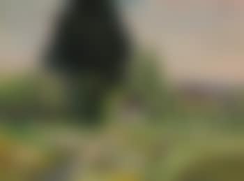 Häuser hinter Bäumen (preview)