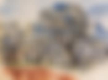 Südfranzösische Landschaft mit Bäumen (preview)