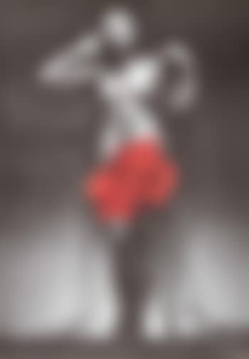 Sans titre (rose rouge) (preview)
