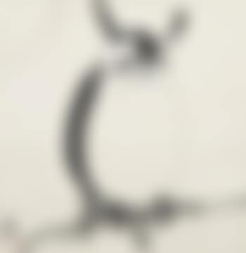 Hibou (preview)