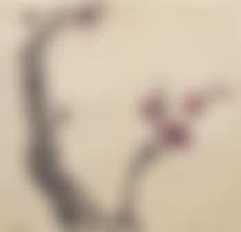 Branche de cerisier en fleur (preview)
