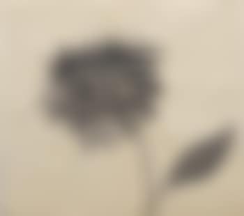 Fleur (preview)