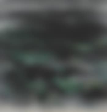 Mare de lotus la nuit (preview)