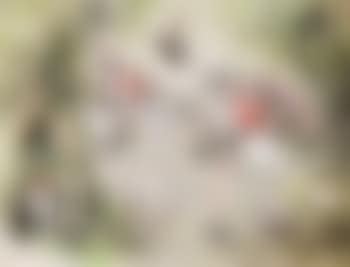 The Kill (preview)