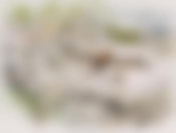 Full Cry (preview)