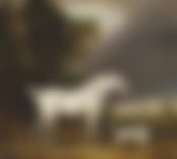 Cheval Appaloosa et épagneul (preview)