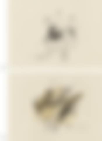Untitled (preview)
