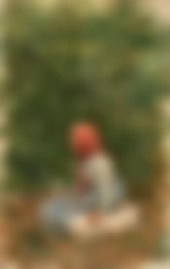 Contadinella (preview)