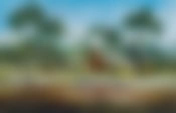 Brood mares (preview)