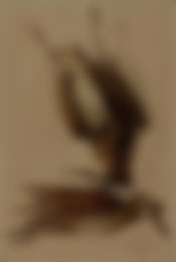 Nature morte mit Schnepfen (preview)