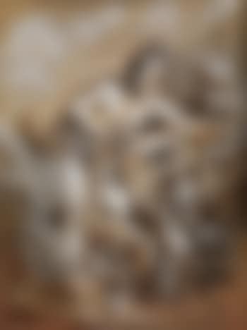 Venus in Wolken (preview)