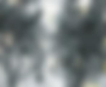 Evocation A (preview)