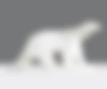 Ours Blanc (preview)