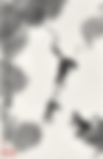 Frogs (preview)