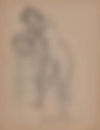 Nu féminin de face (preview)