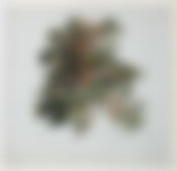Baumstudie (preview)