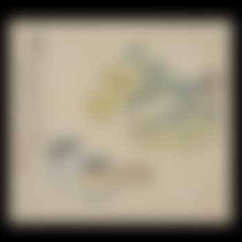 Chrysanthemum (preview)